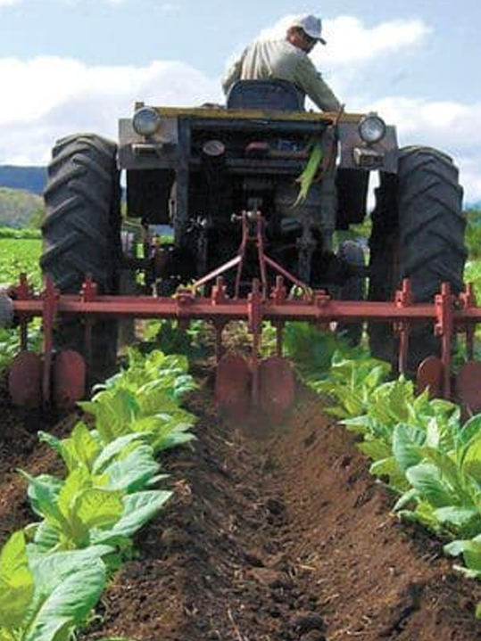 Producción Agropecuaria